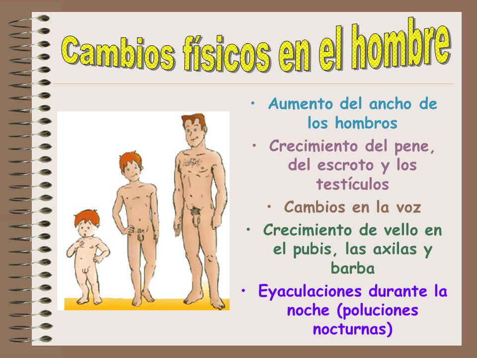 Fotki los muchachos con los pequeños miembros